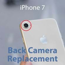 iPhone 7 Back Camera Repair